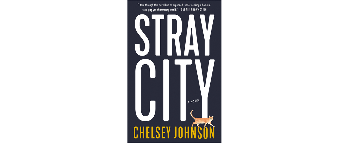 Book Cover for STRAY CITY by Chelsey Johnson