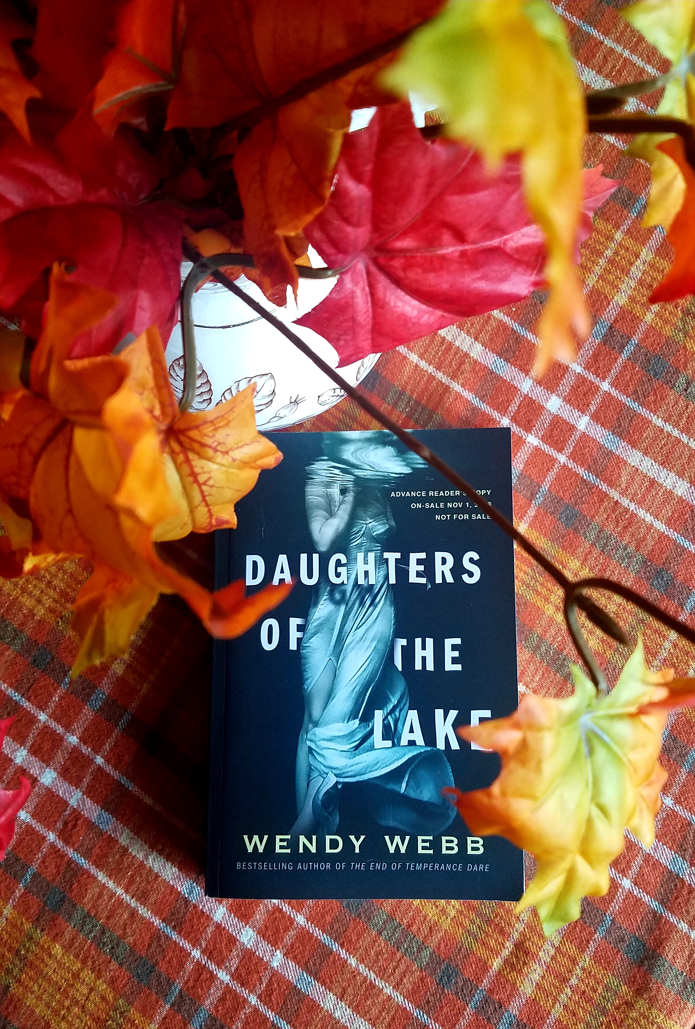 Book cover of DAUGHTERS OF THE LAKE