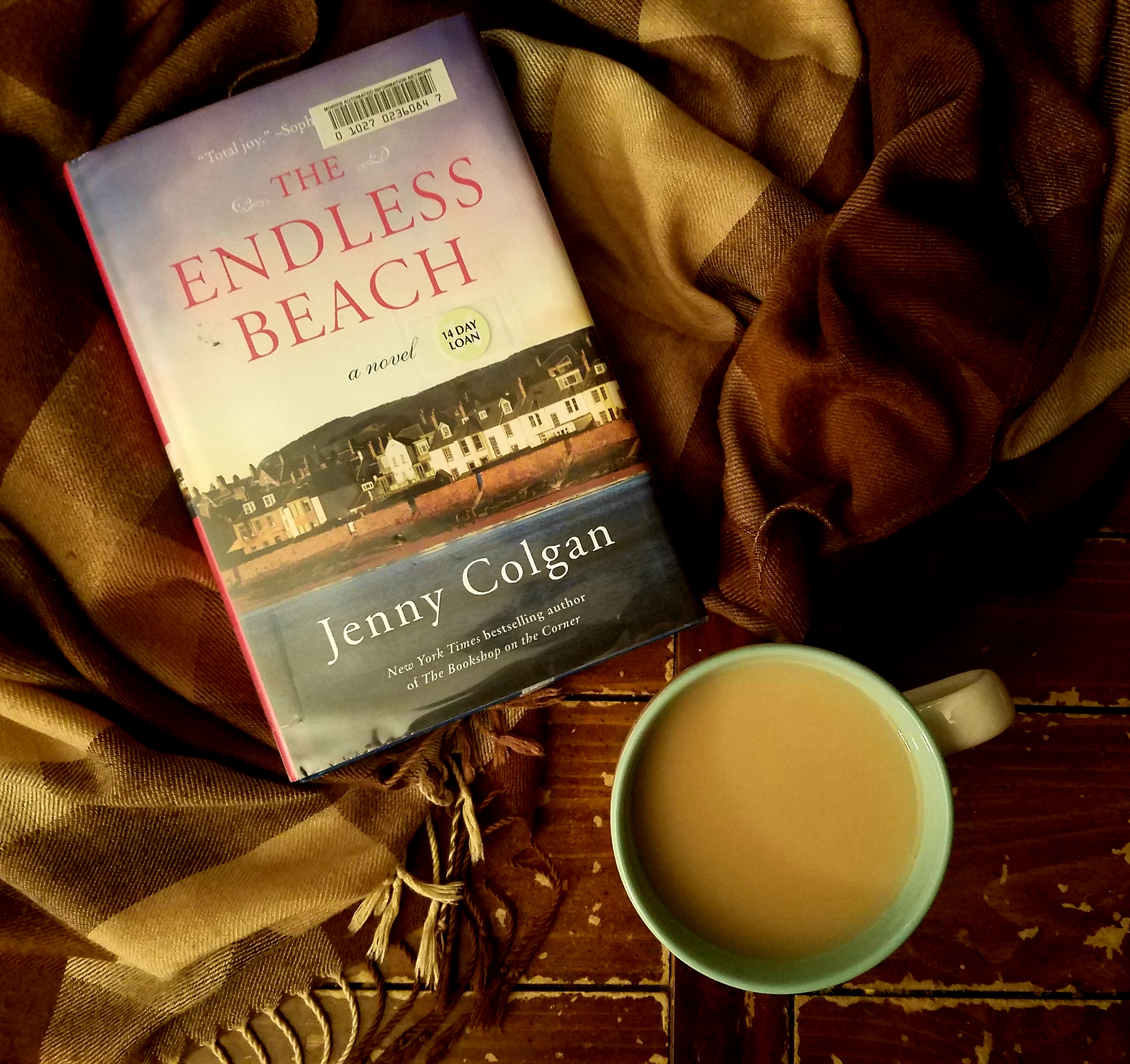Book Cover of THE ENDLESS BEACH