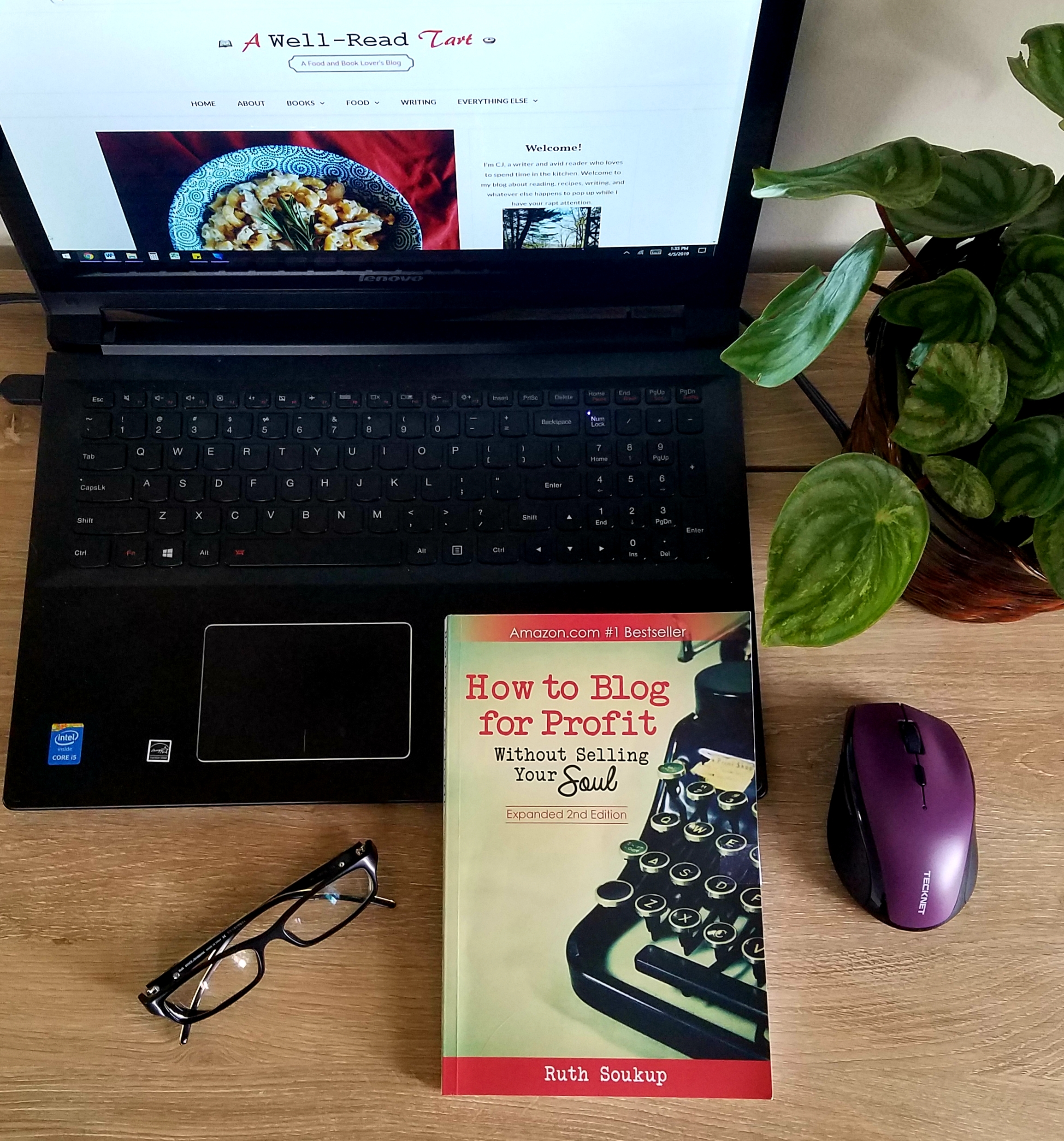 Book Review of HOW TO BLOG FOR PROFIT (WITHOUT SELLING YOUR SOUL)