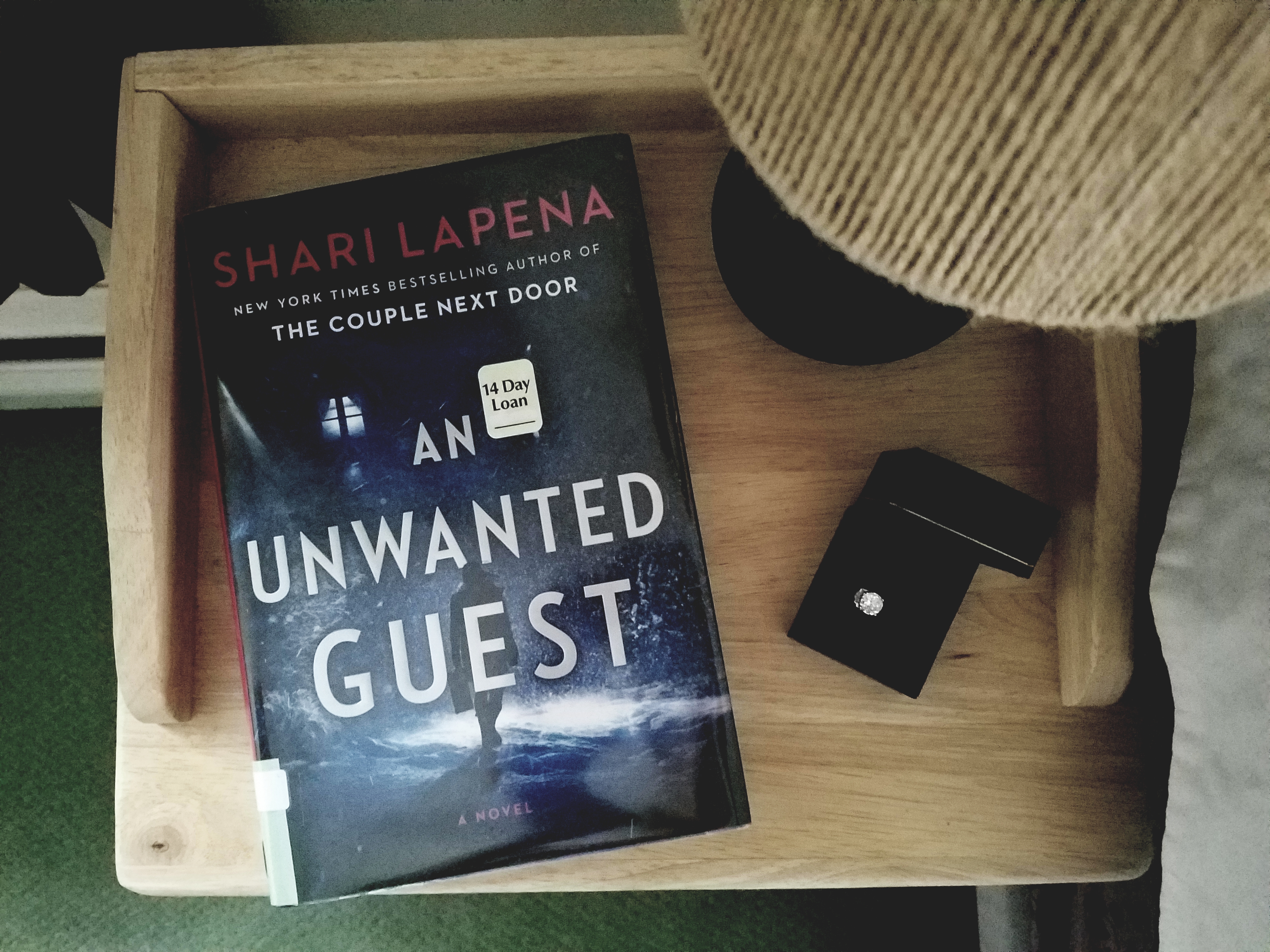 Book Cover of AN UNWANTED GUEST