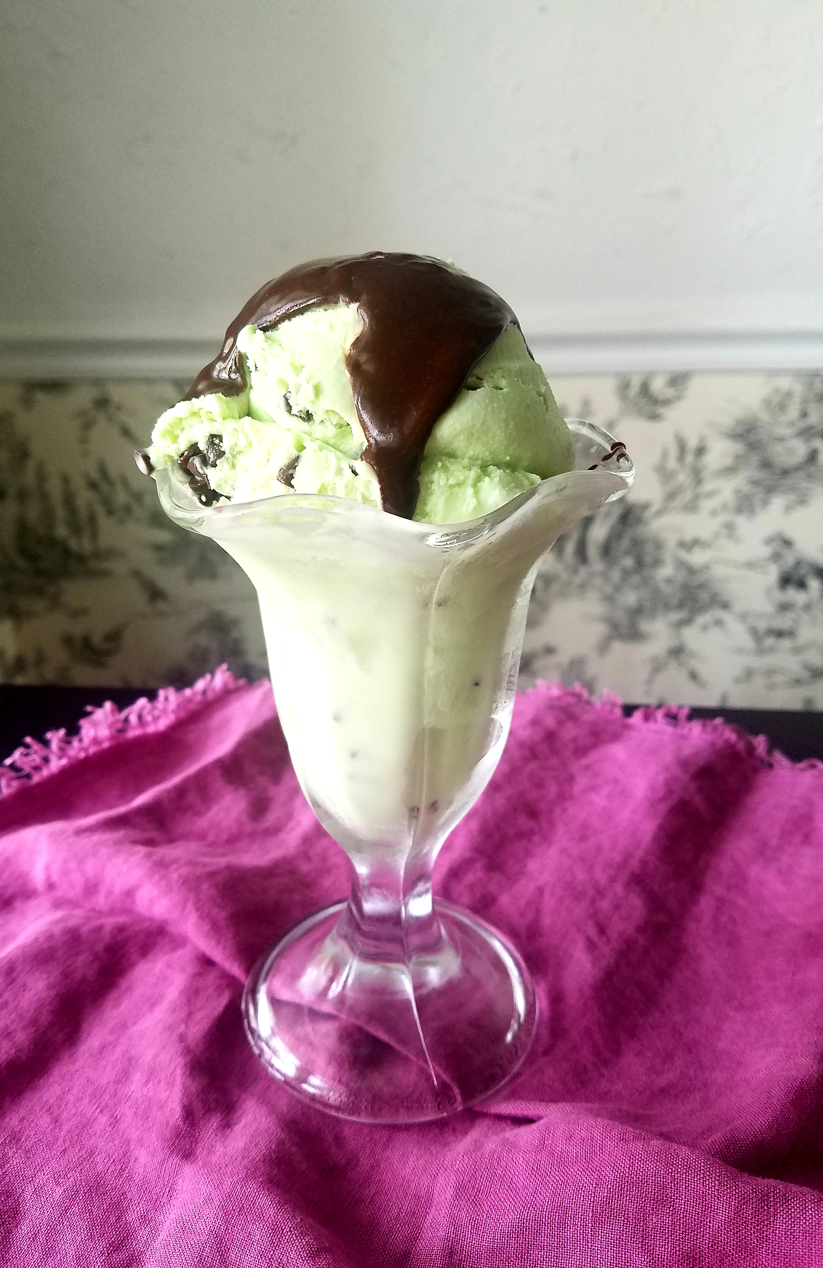 Mint Chocolate Chip Hot Fudge Sundaes (Recipe Inspired by THE KISS QUOTIENT)