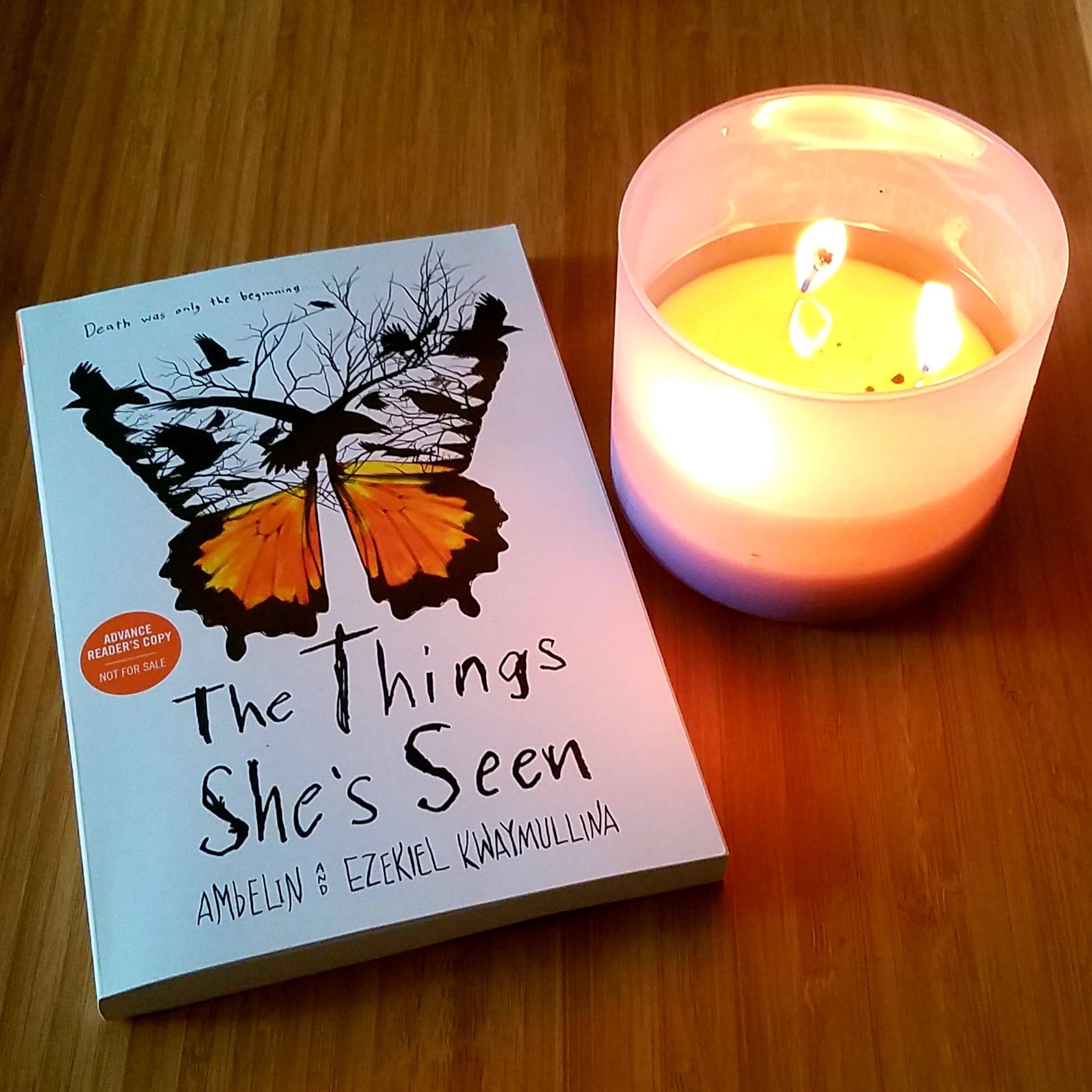 Book Review of THE THINGS SHE’S SEEN