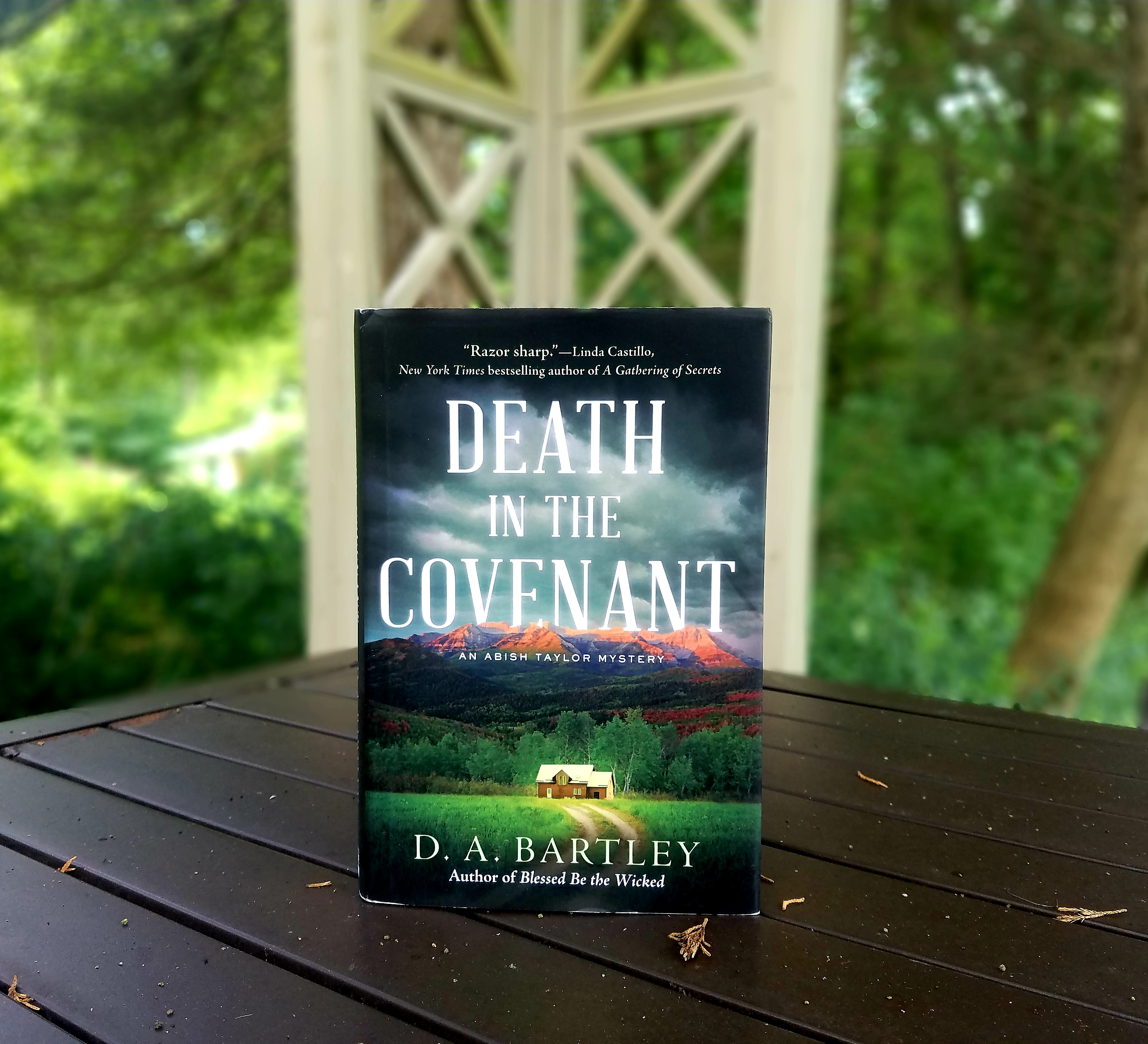 Book Cover of DEATH IN THE COVENANT