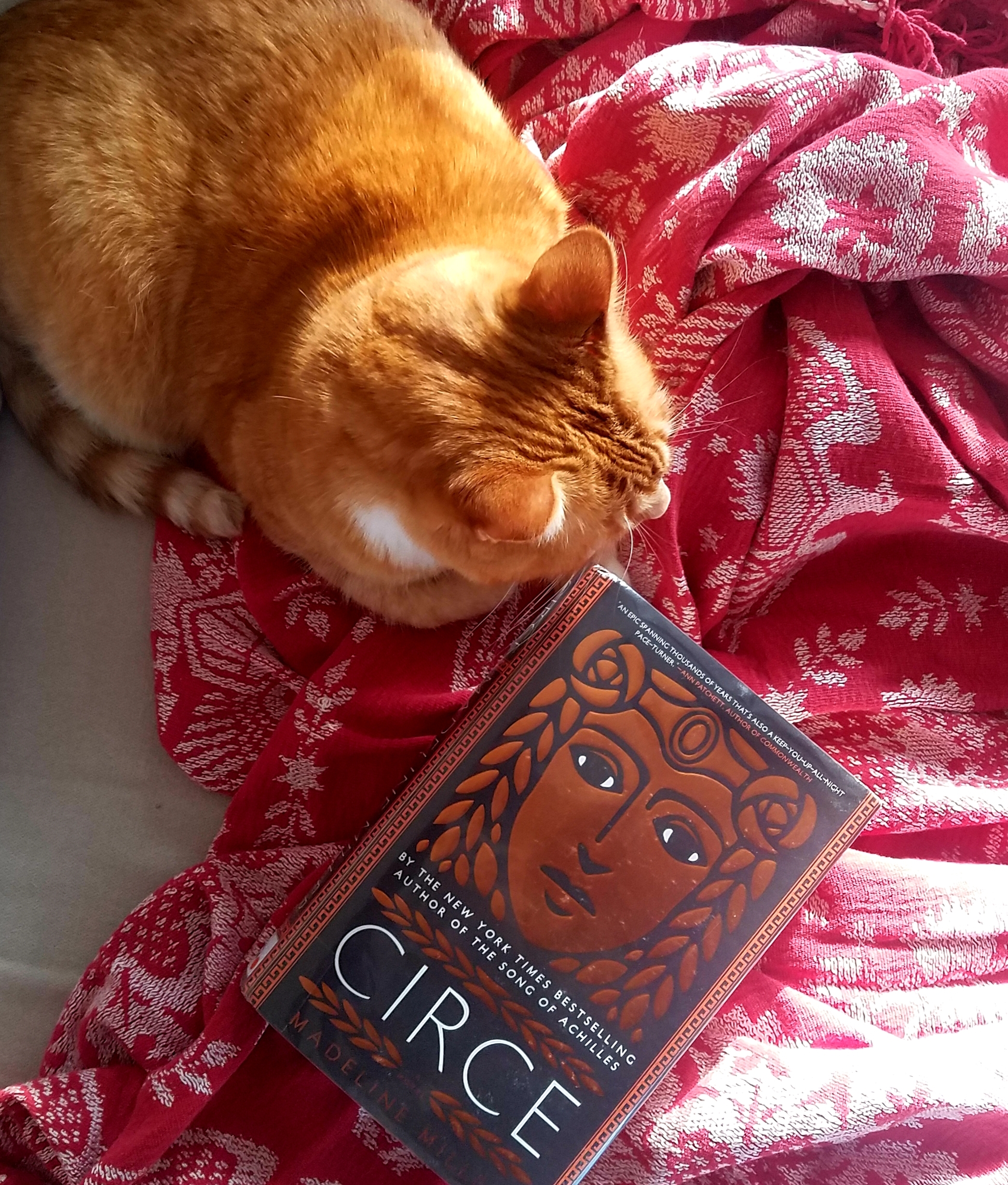 Book Cover of CIRCE