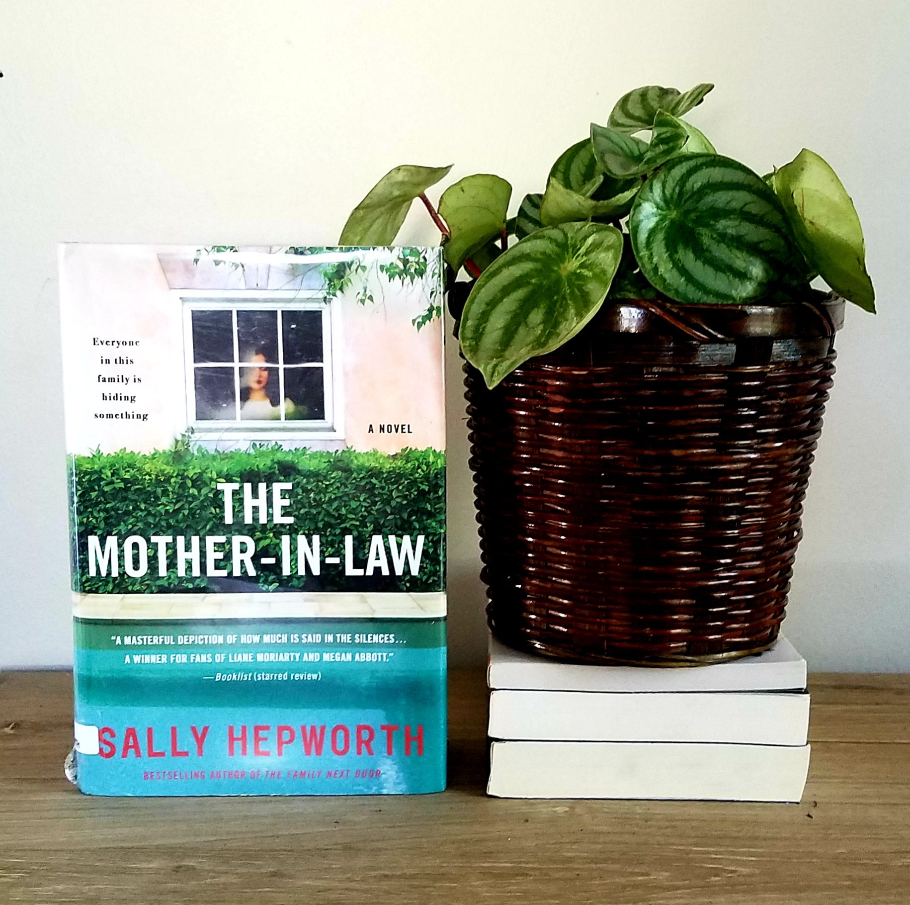 Book Cover of THE MOTHER IN LAW