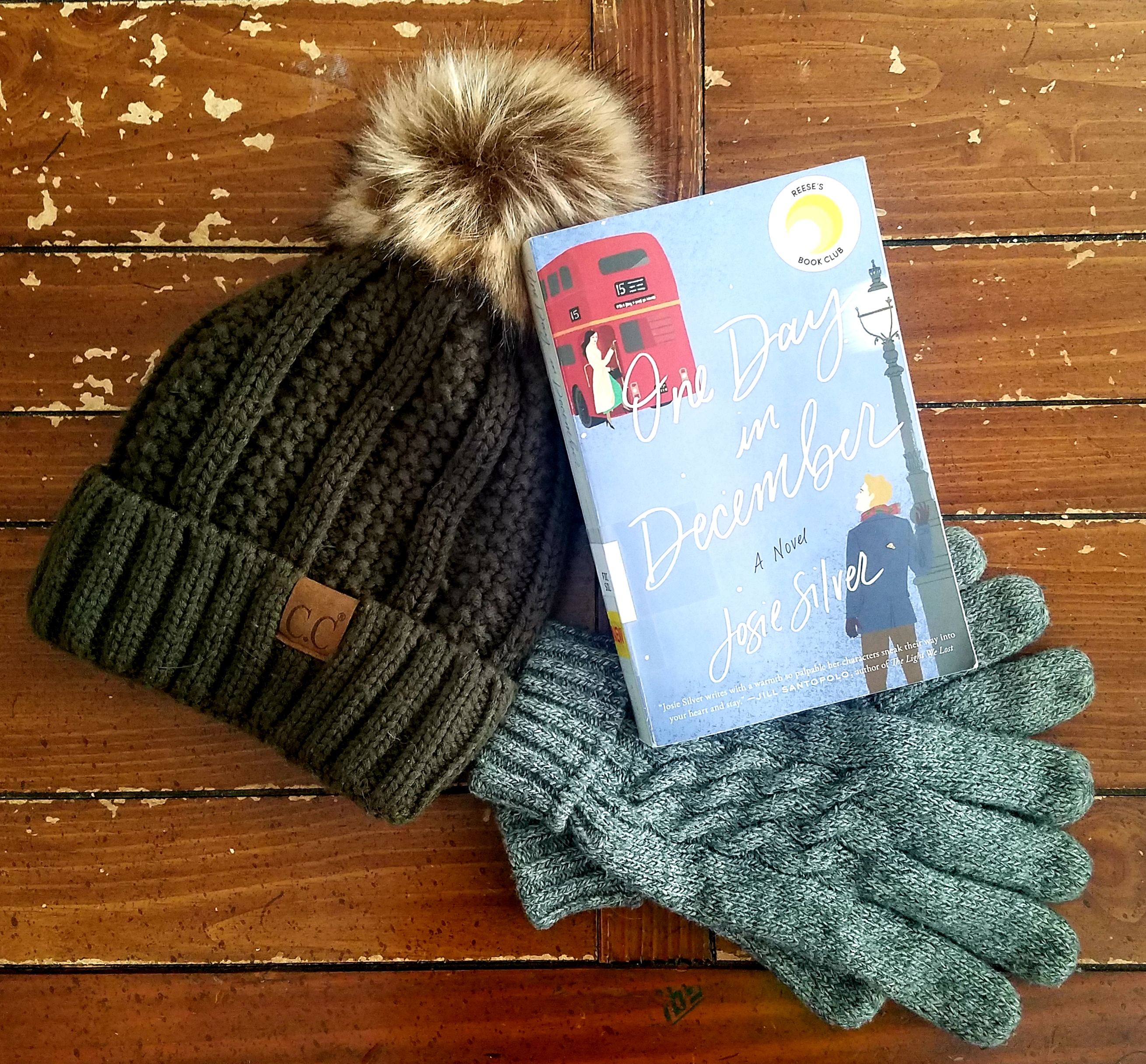 Book Review of ONE DAY IN DECEMBER