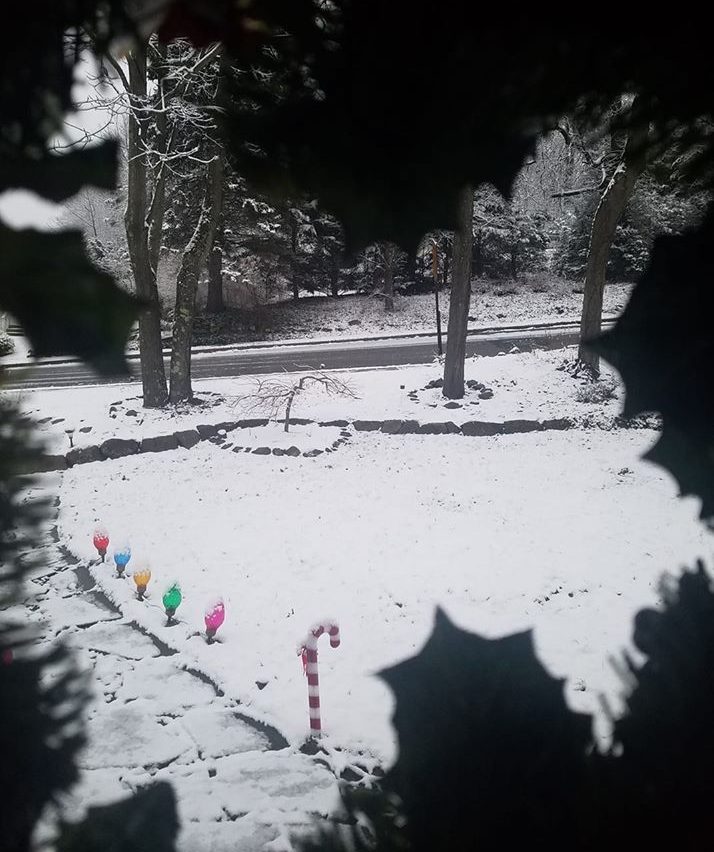 christmas lights in snow