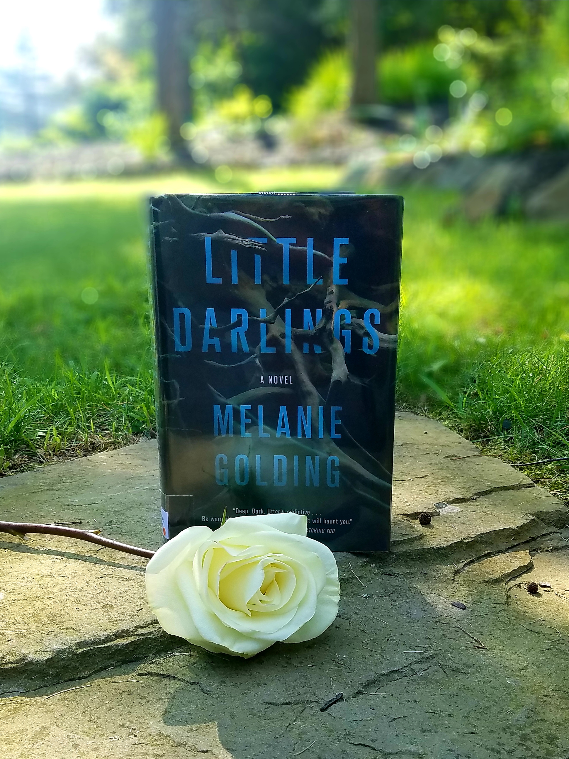 Book Review of LITTLE DARLINGS