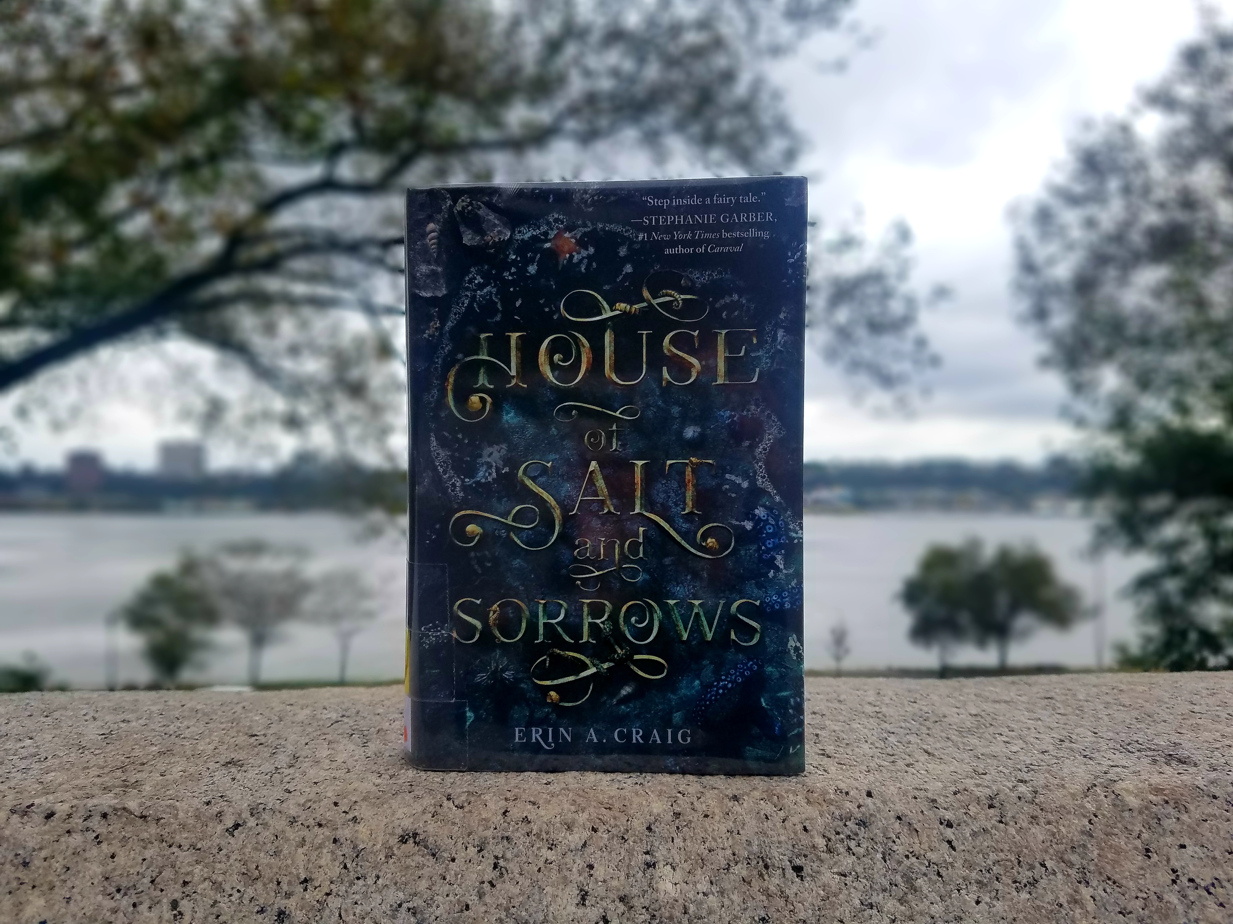 Book Cover of The House of Salt and Sorrows
