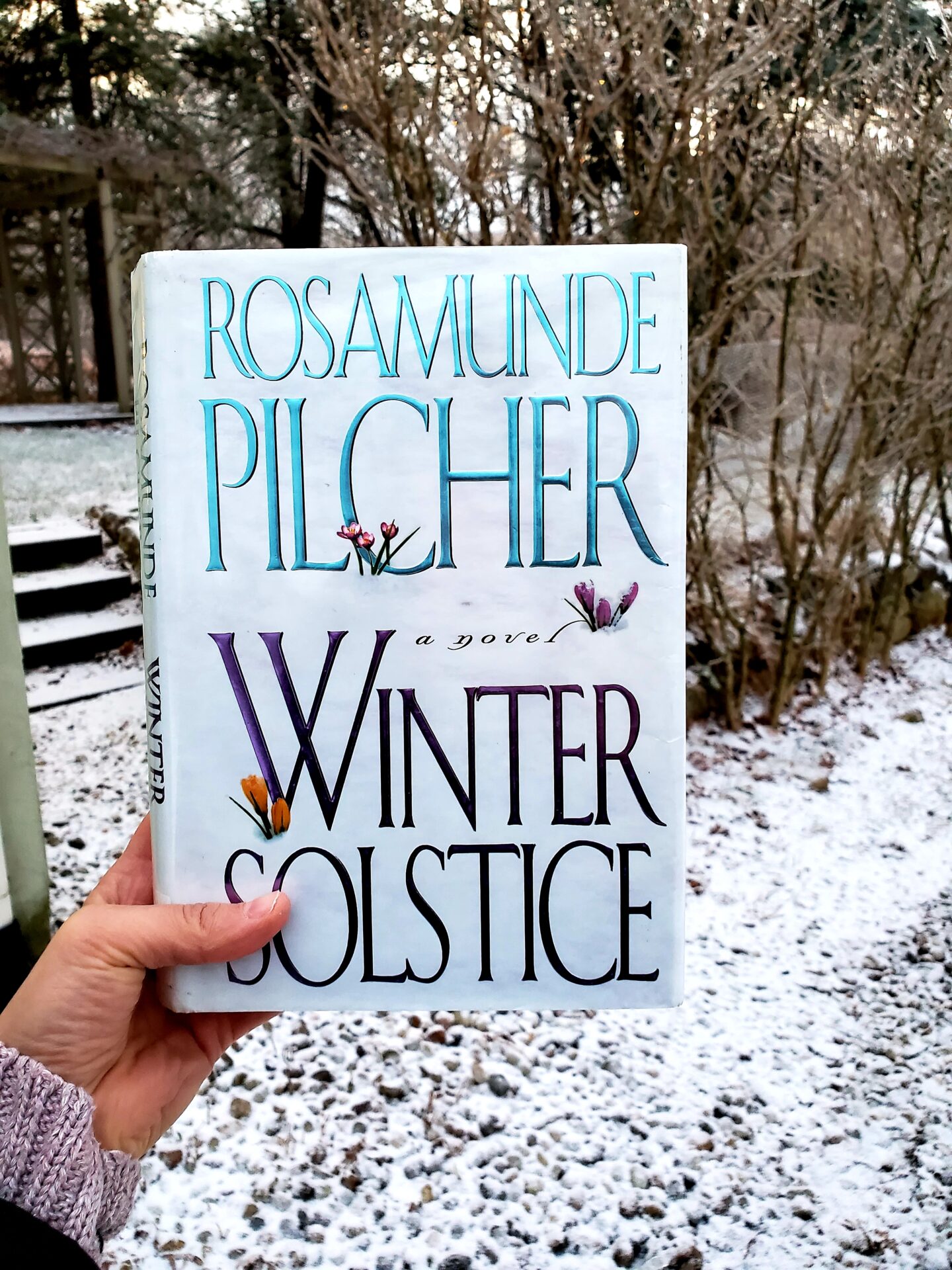 Winter Solstice book cover