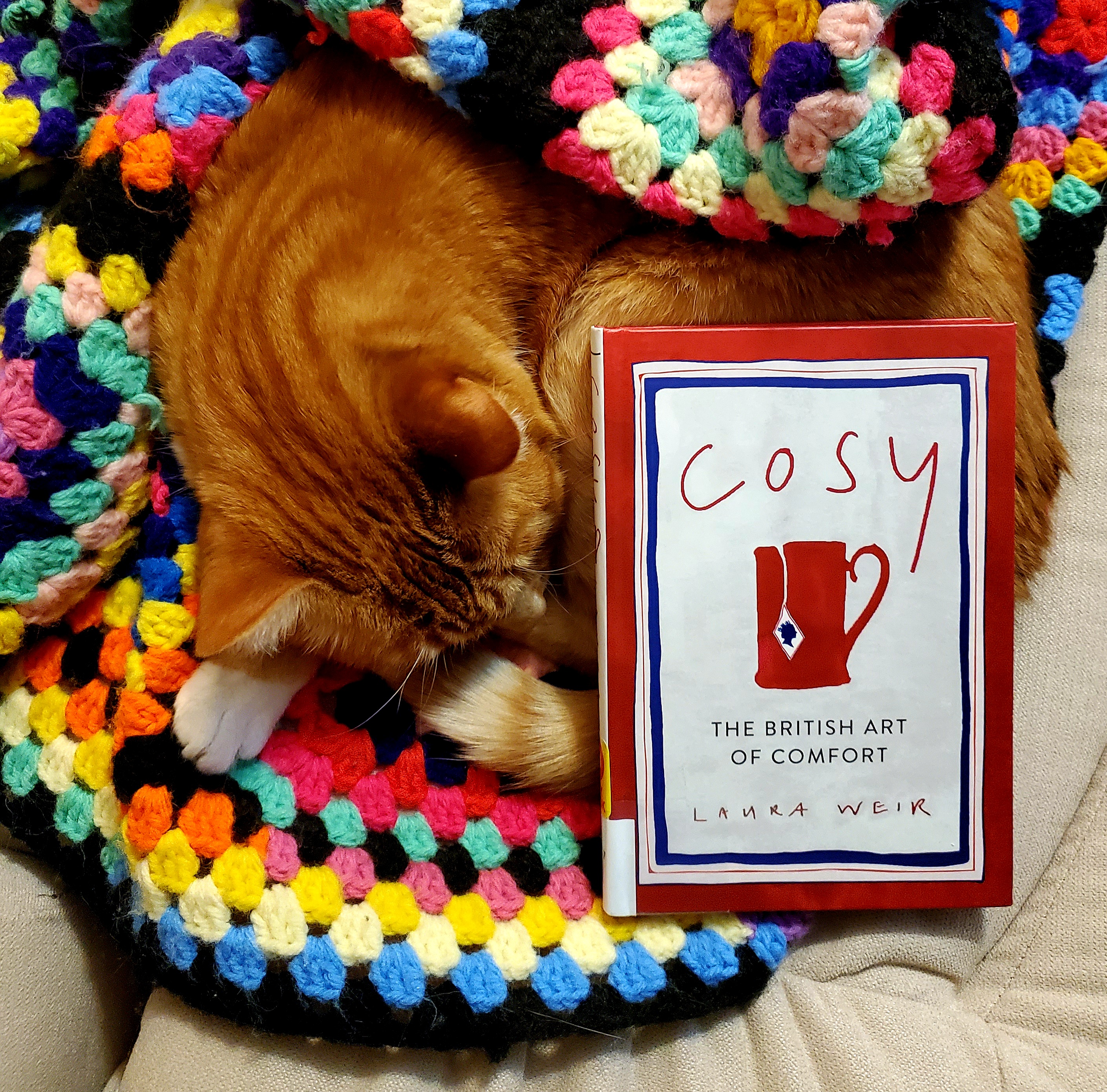 book cover of cosy with cat