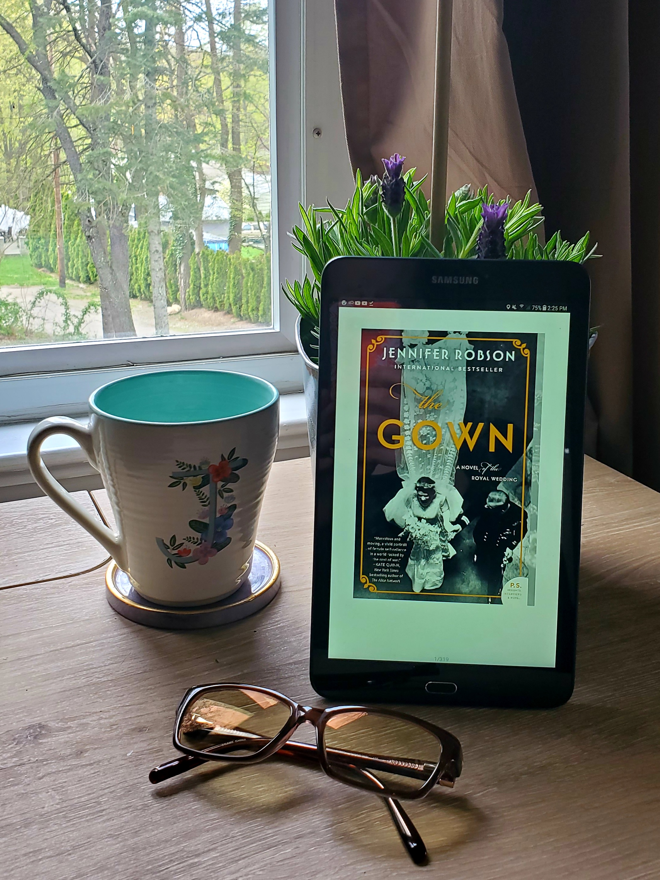 Book Review of THE GOWN