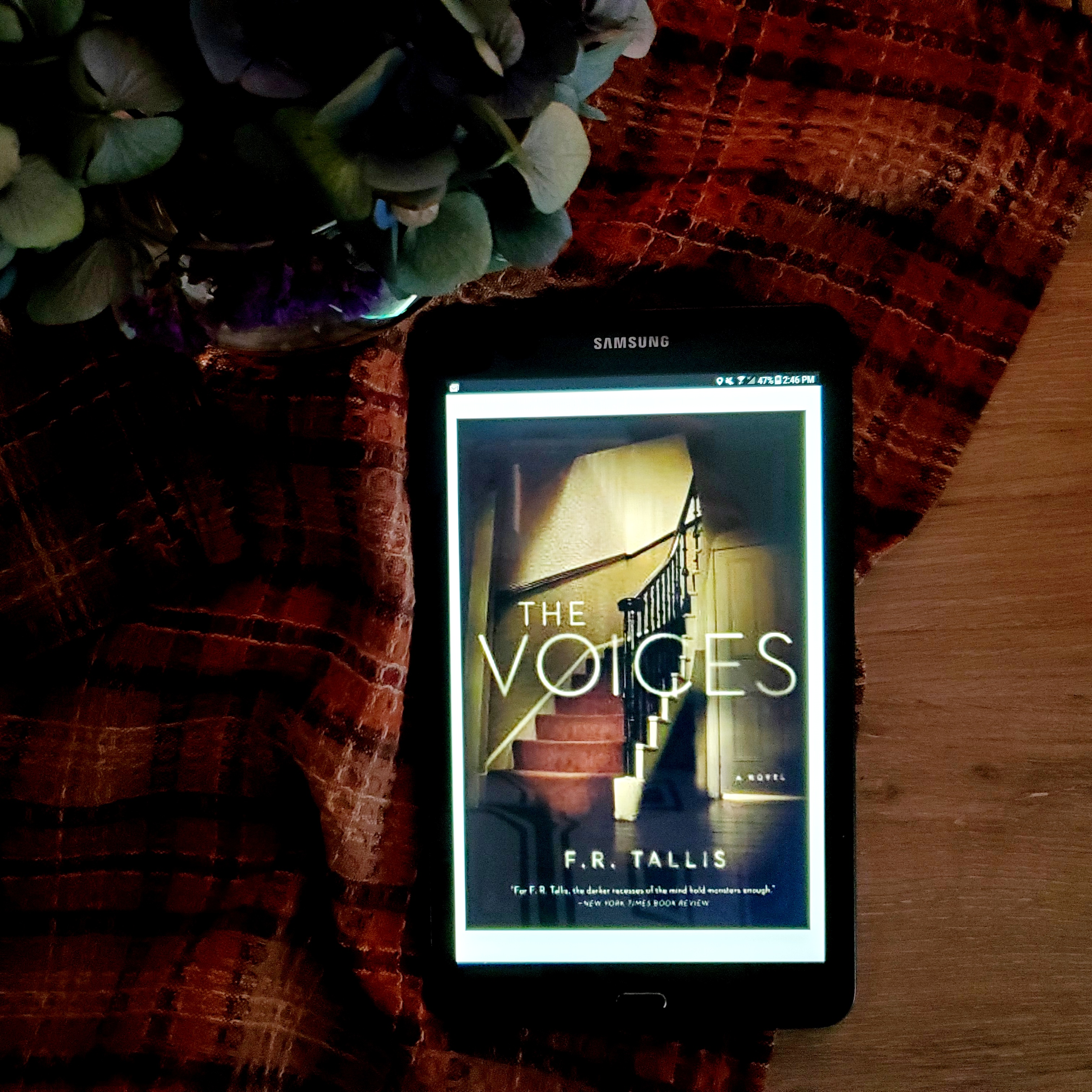 ebook cover for The Voices