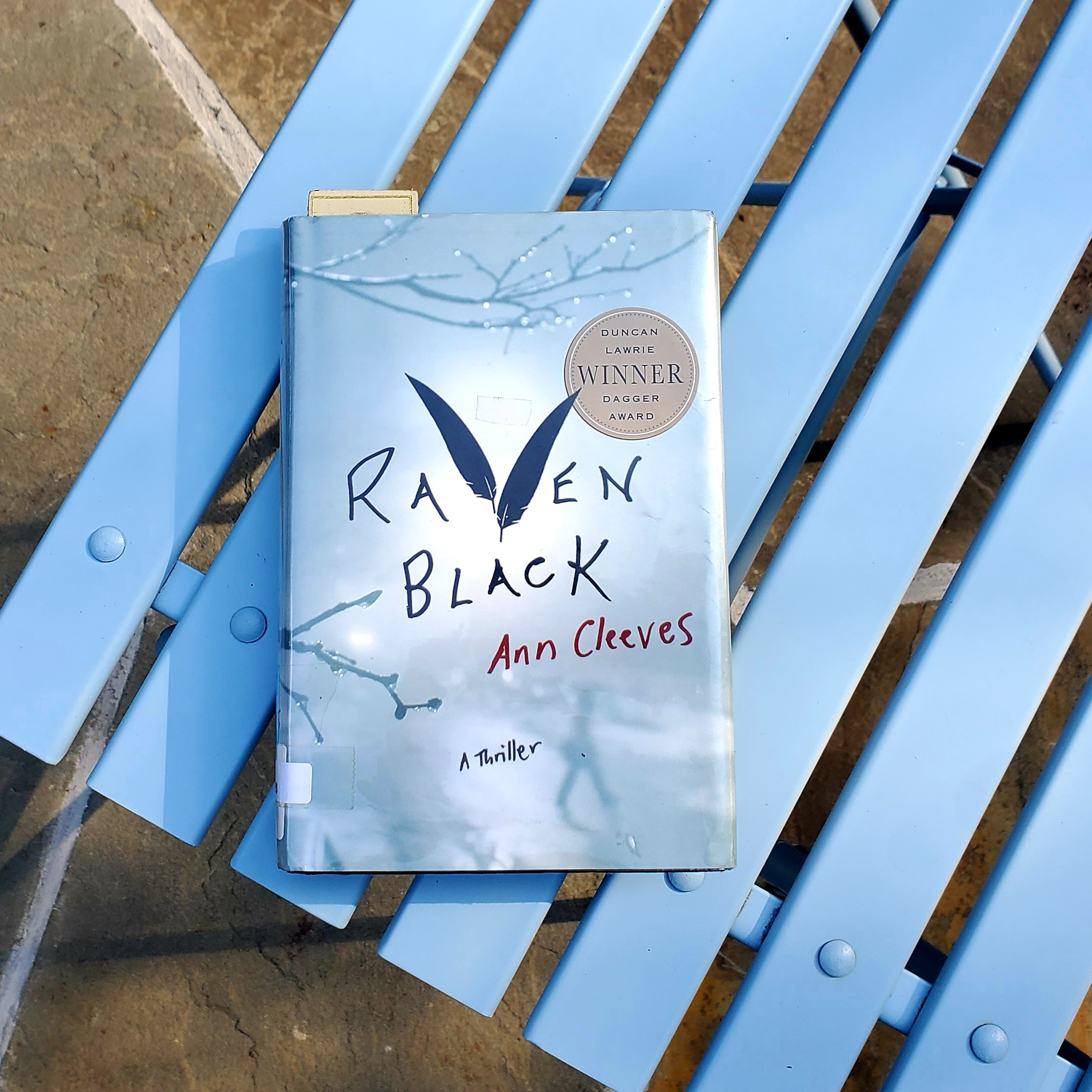 Book Review of RAVEN BLACK