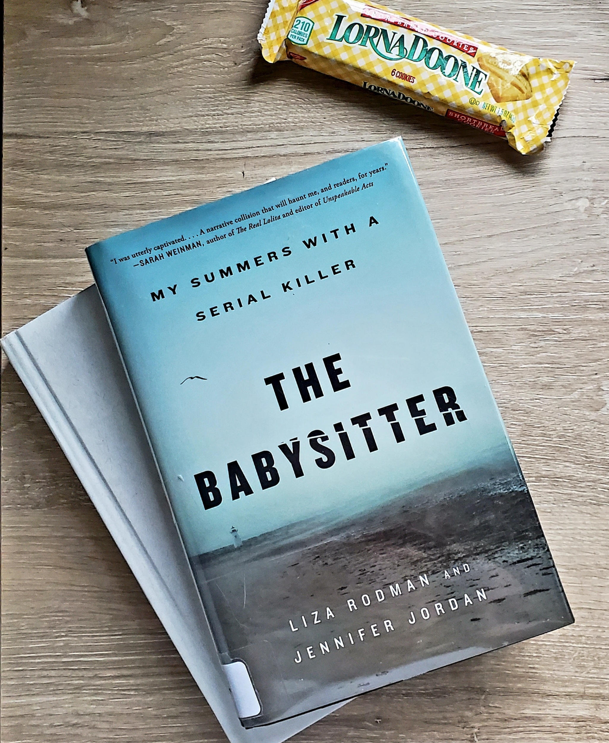 flat lay of the babysitter