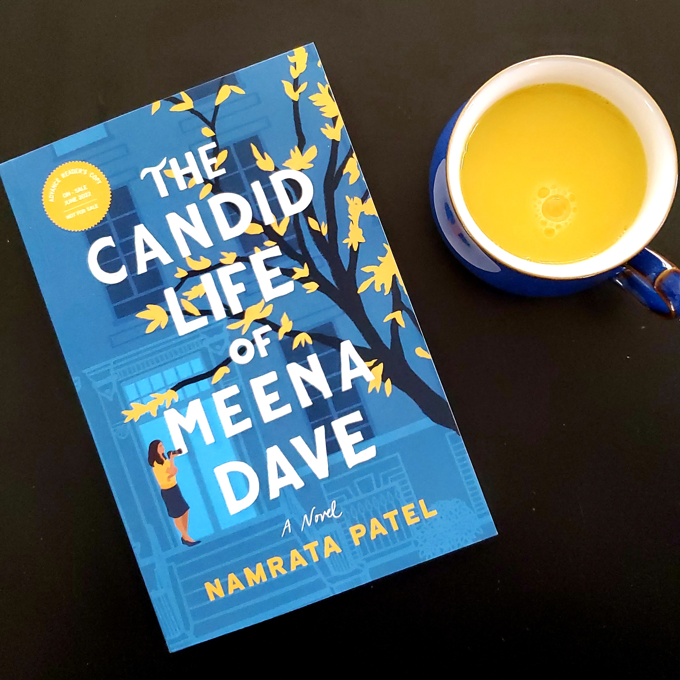 Book cover of The Candid Life of Meena Dave