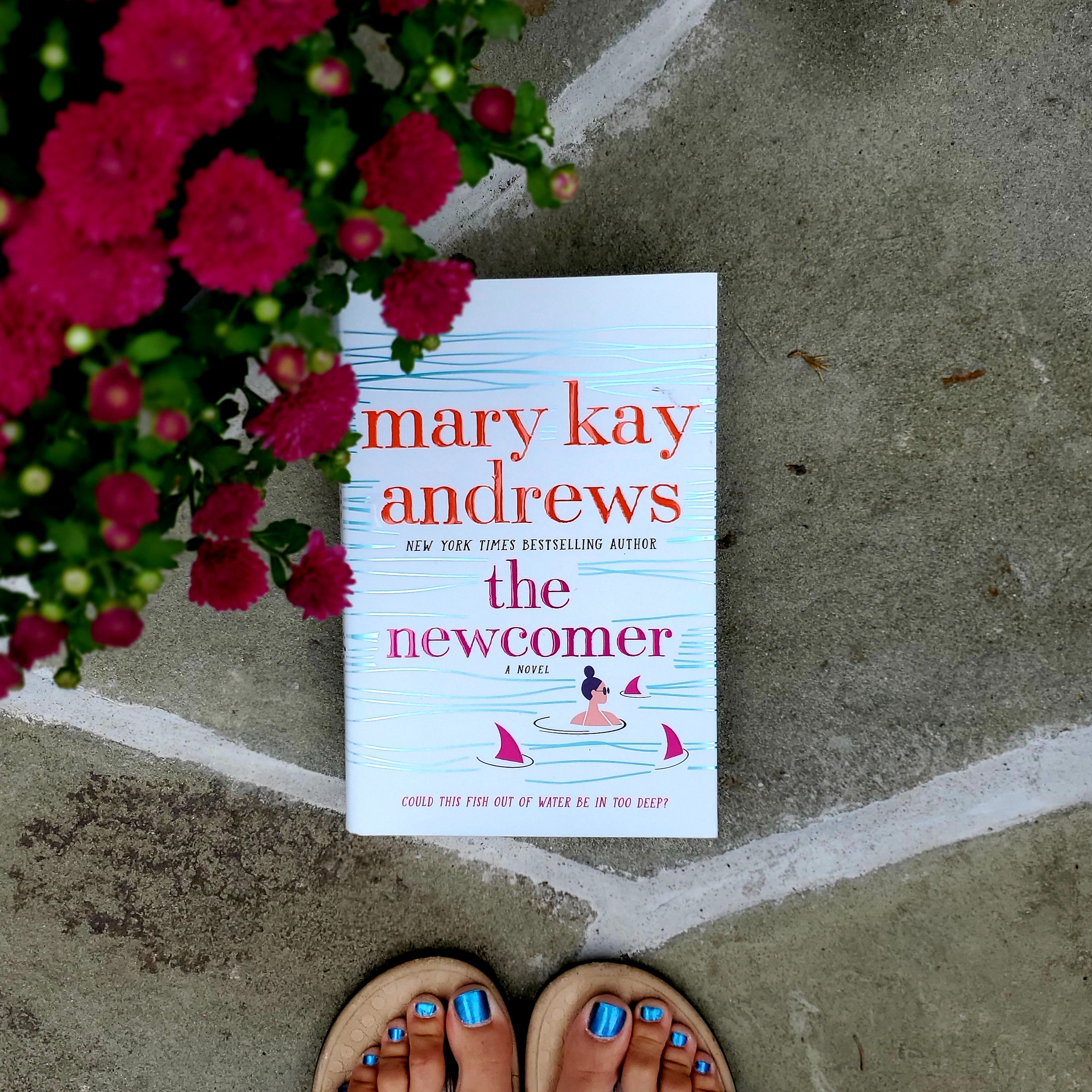 Book Review of THE NEWCOMER