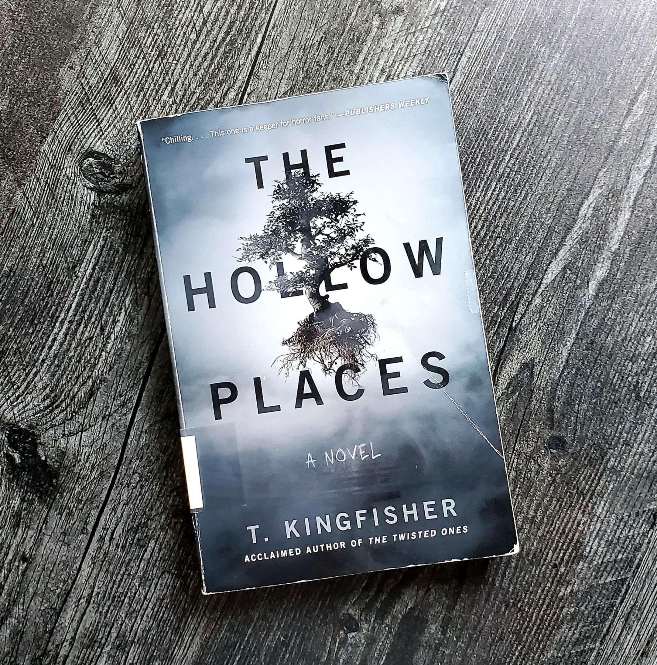 book cover of THE HOLLOW PLACES