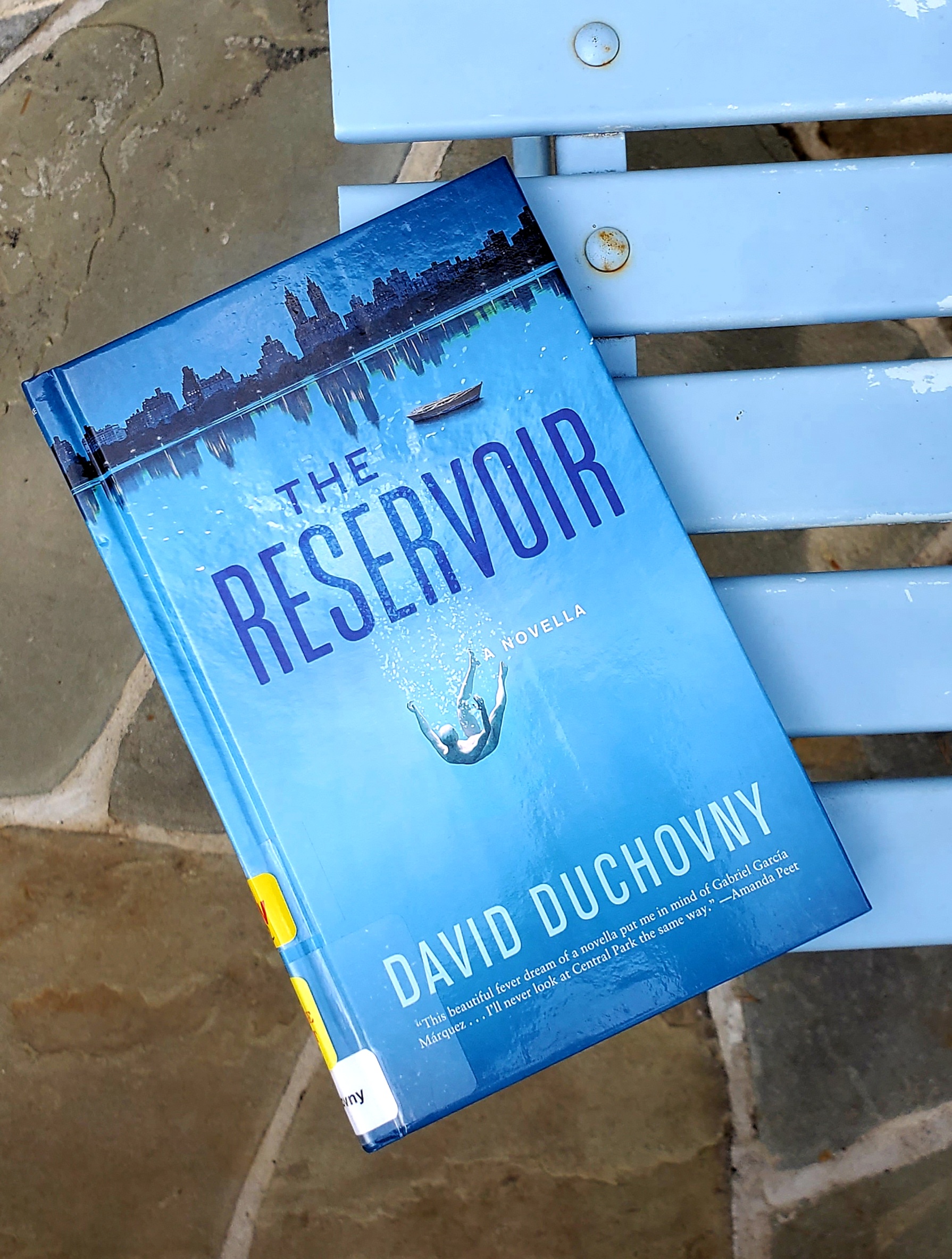book cover of the reservoir by david duchovny