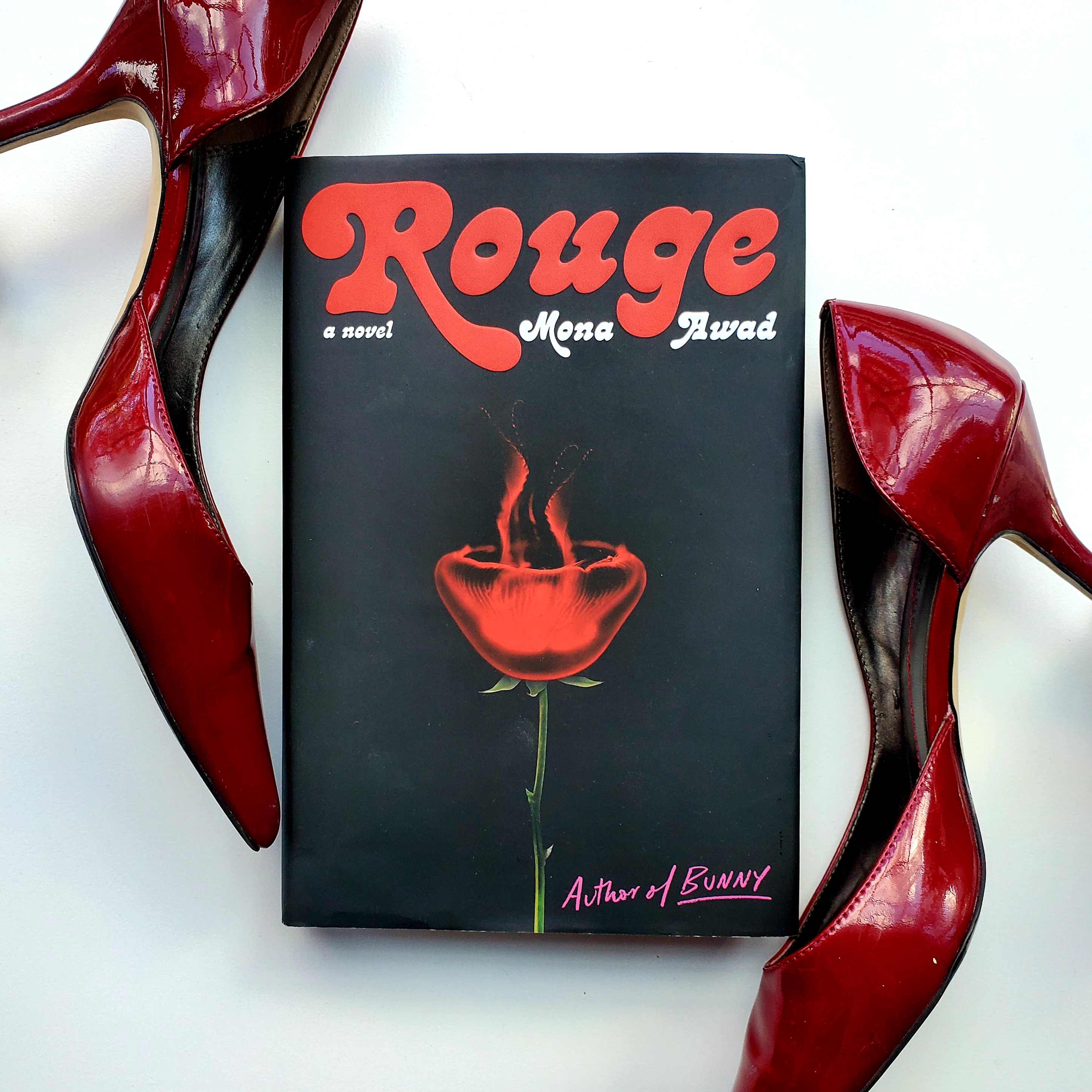 ROUGE: Book Club Podcast on Dark Side of the Word