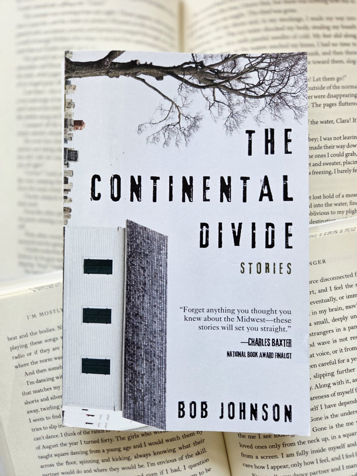 the continental divide short stories by bob johnson