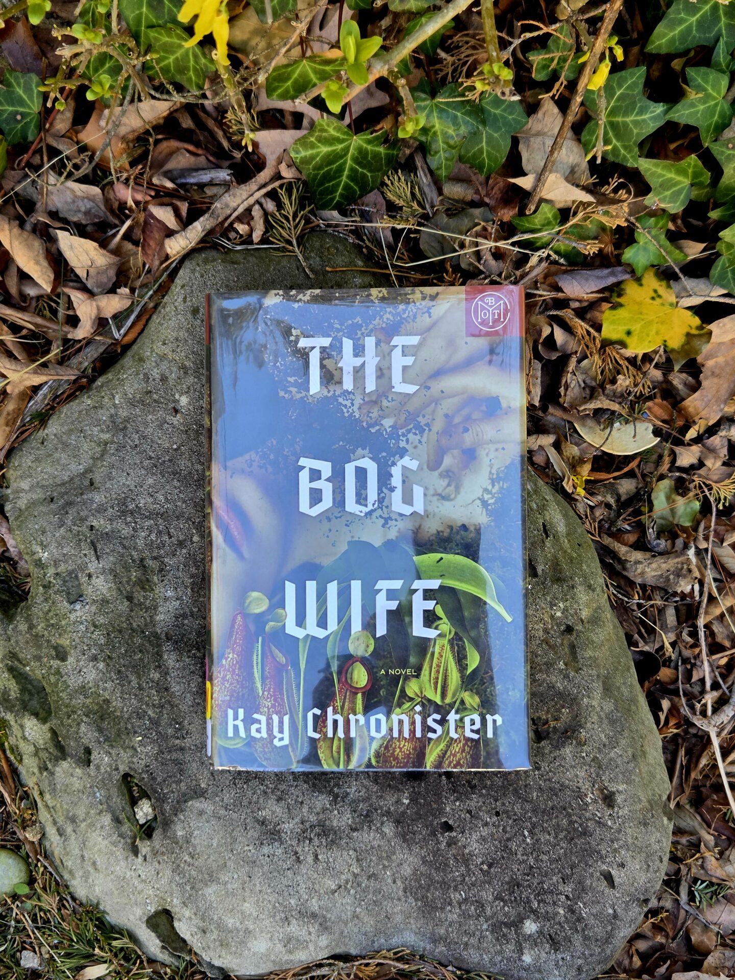 THE BOG WIFE (Dark Side of the Word Podcast)
