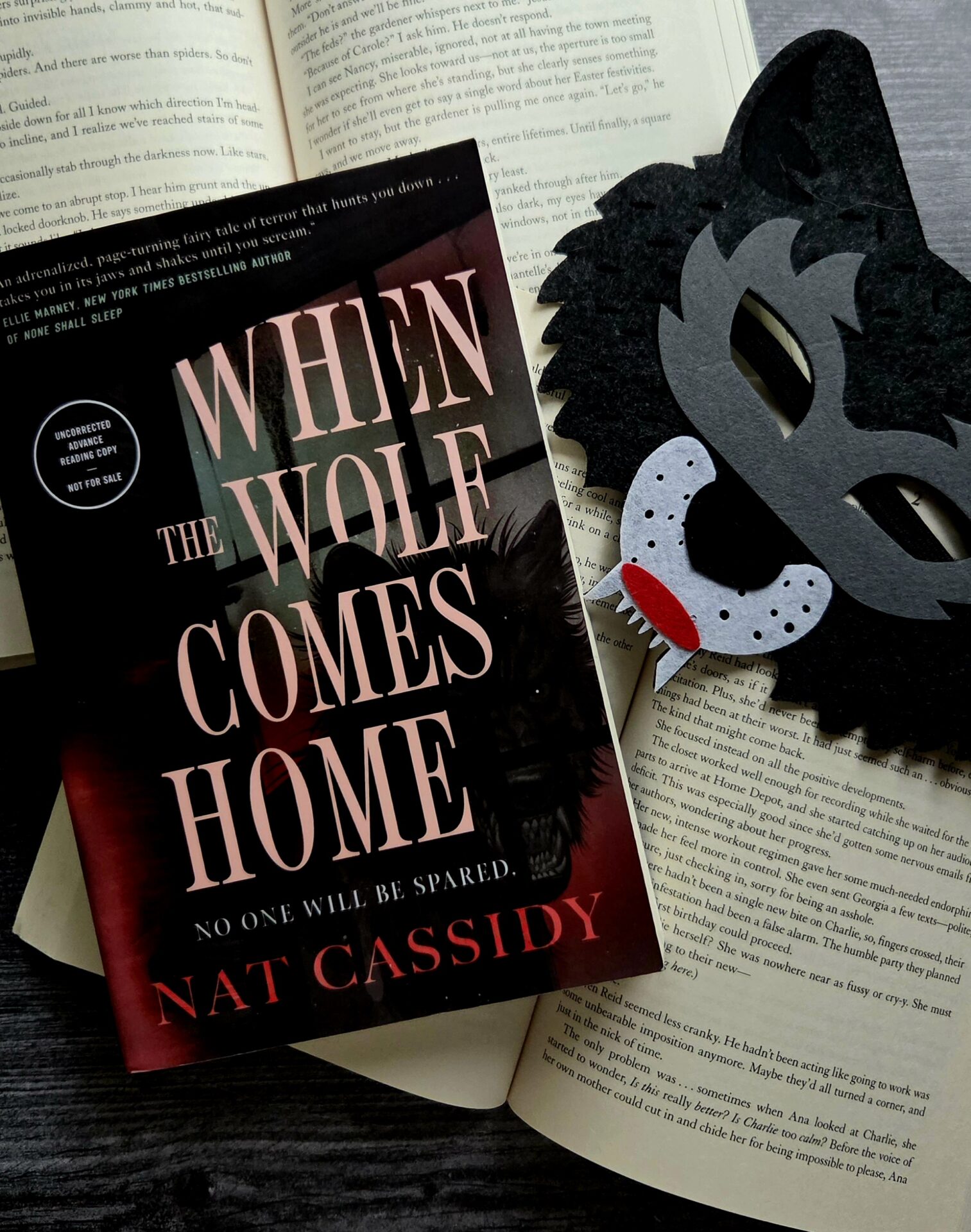 book cover of when the wolf comes home by nat cassidy