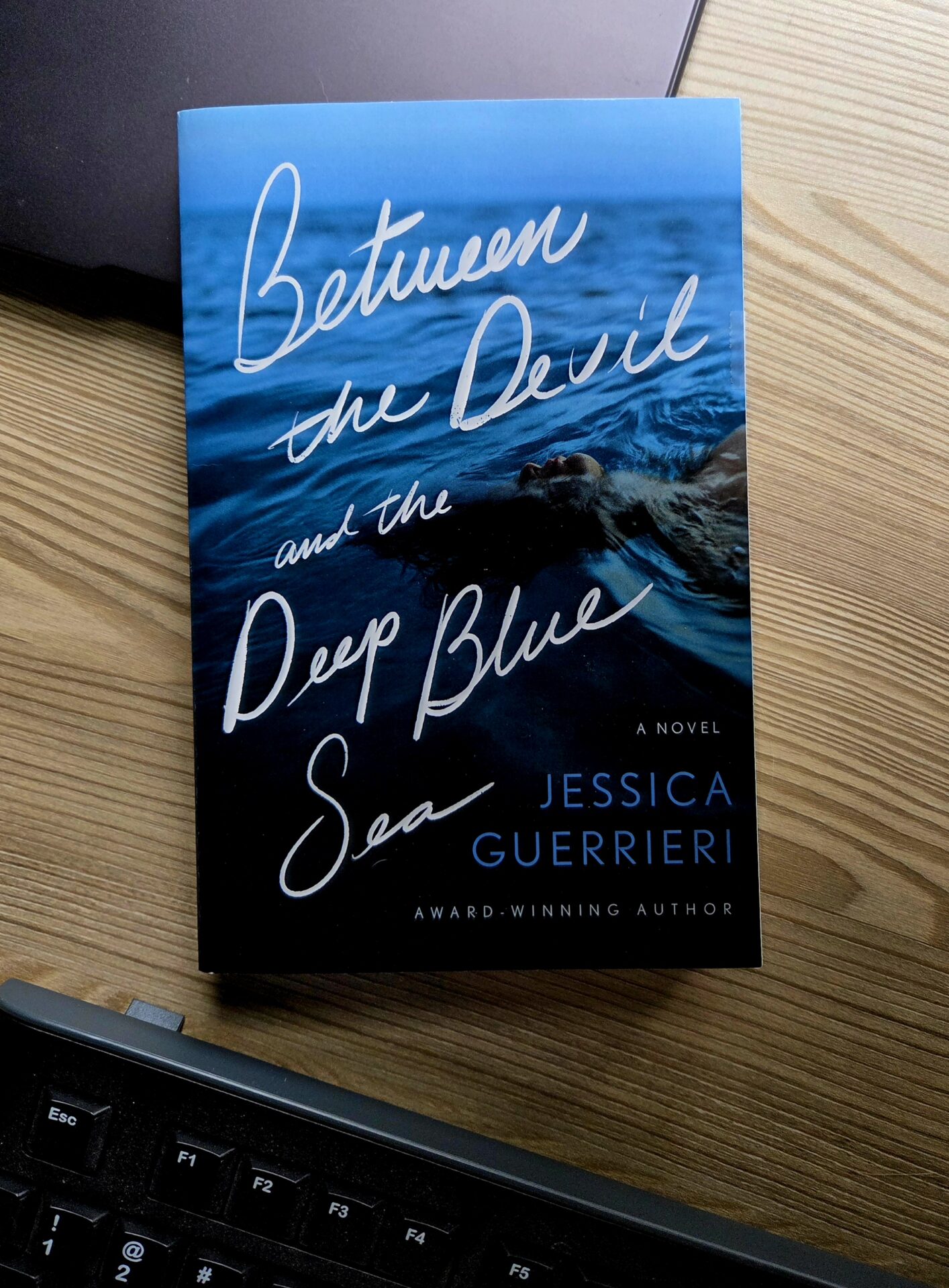 book cover of BETWEEN THE DEVIL AND THE DEEP BLUE SEA
