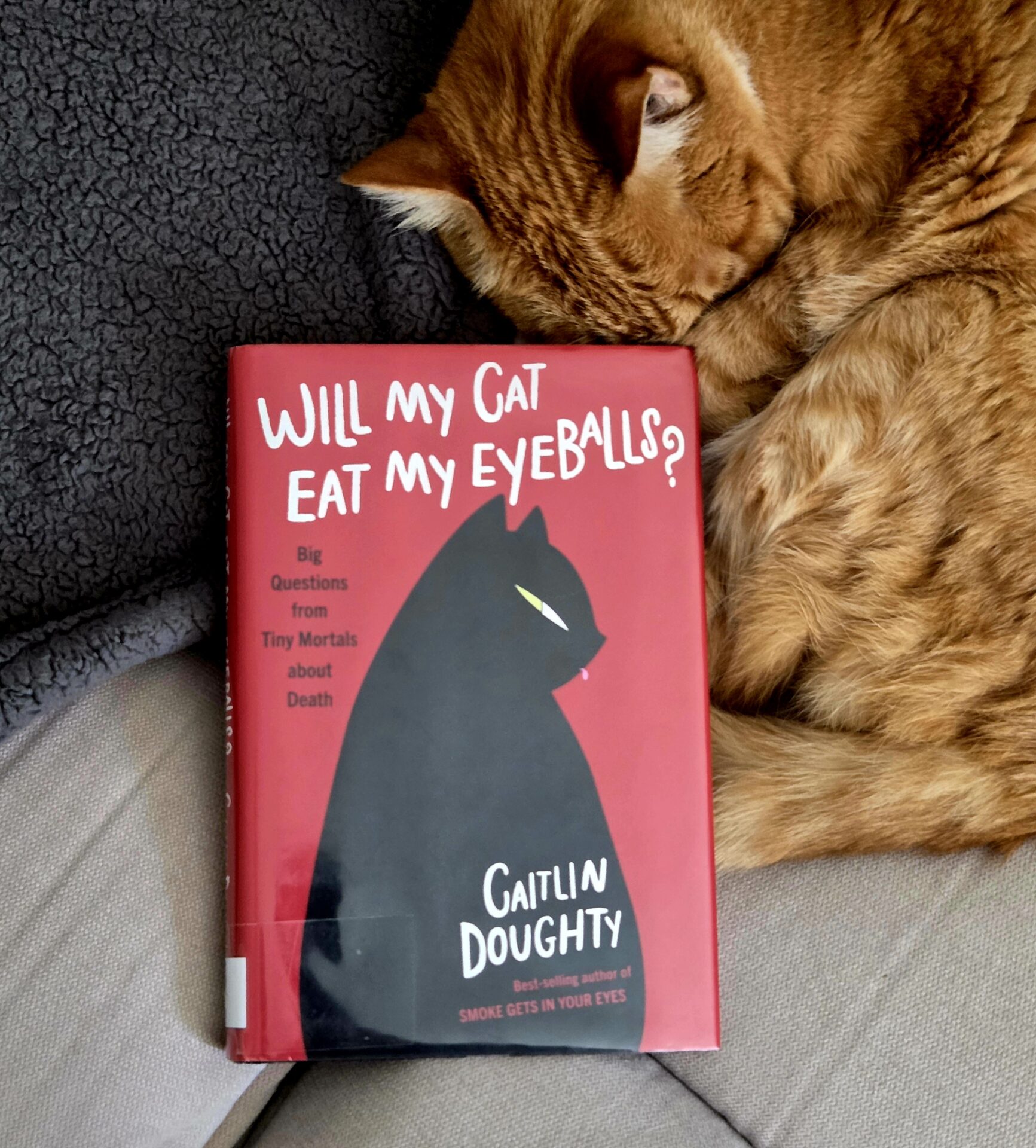 WILL MY CAT EAT MY EYEBALLS? (Dark Side of the Word Podcast)