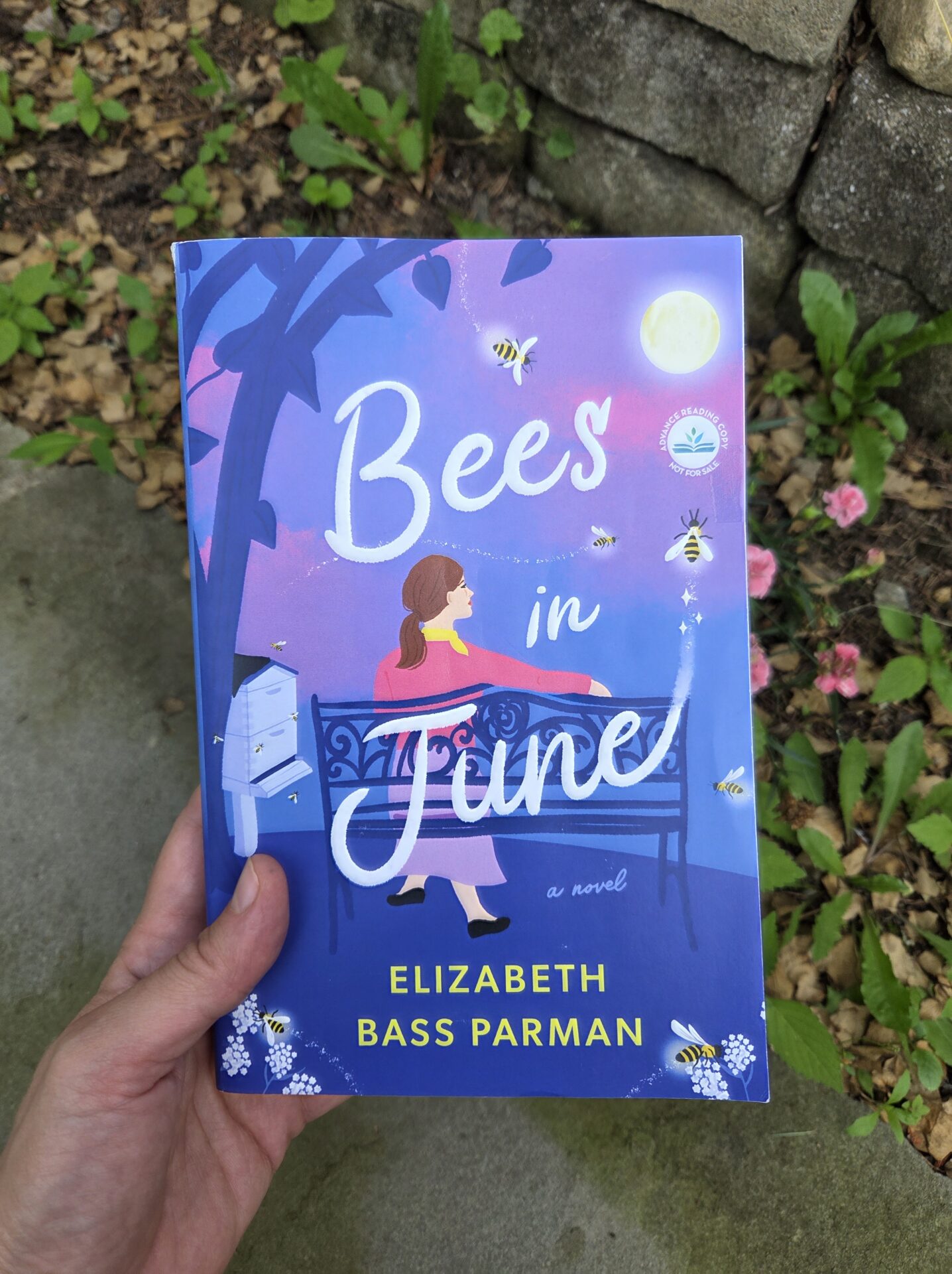 BEES IN JUNE Book Review