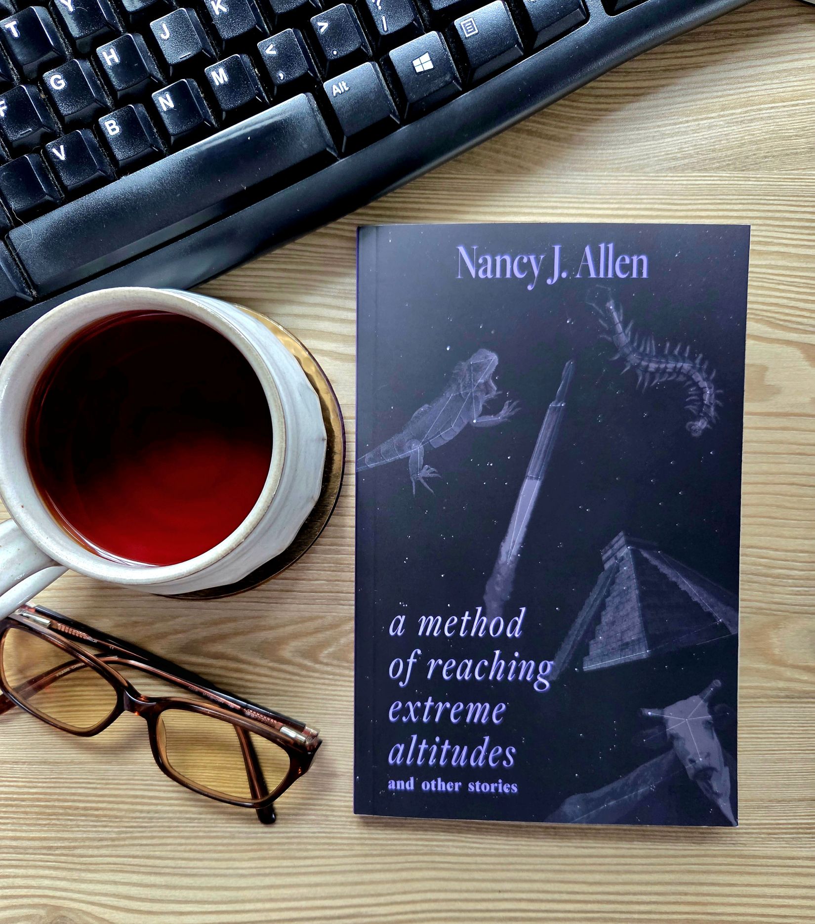 a method of reaching extreme altitudes by nancy j allen book cover